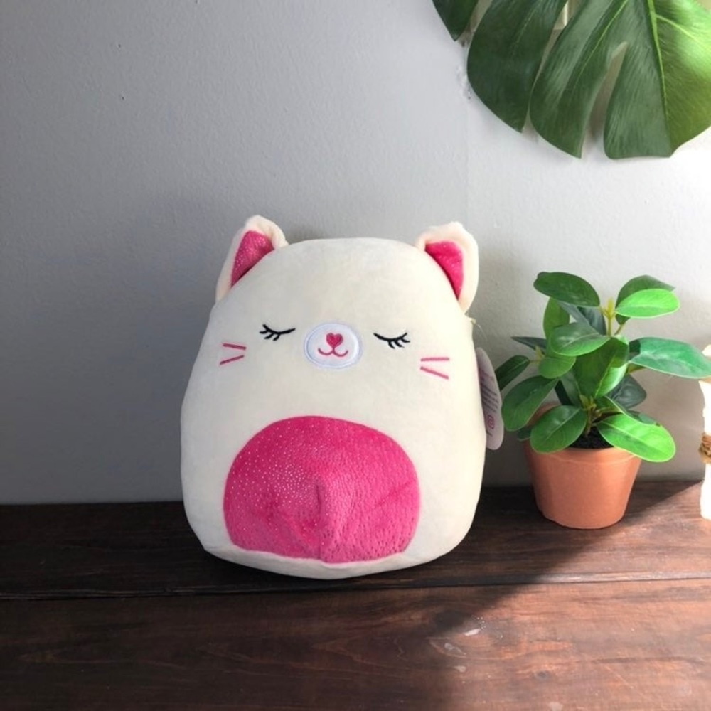 NWOT Valentine’s Squishmallow Pink Carmen Cat